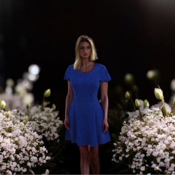 Halston Heritage Cobalt Blue Ponte Fit &Flare Skater Dress Sz-8 NWT Retail $375 - Picture 8 of 11